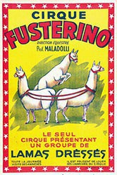 Harfor - Cirque Fusterino